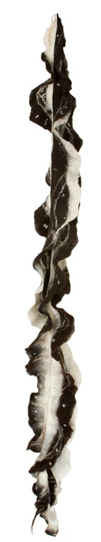 spiral hanging 2.5m long